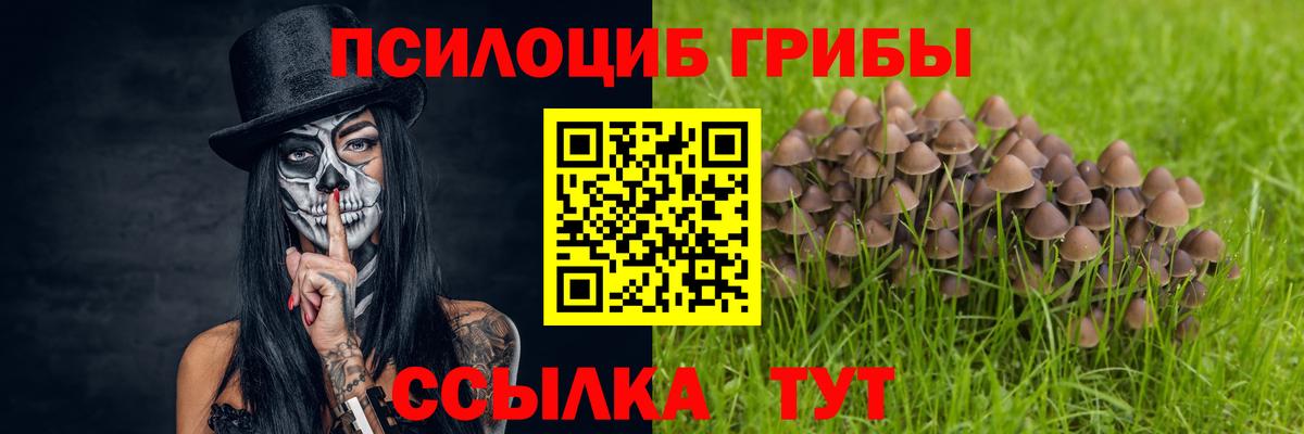 Галлюциногенные грибы прущие грибы Ачинск