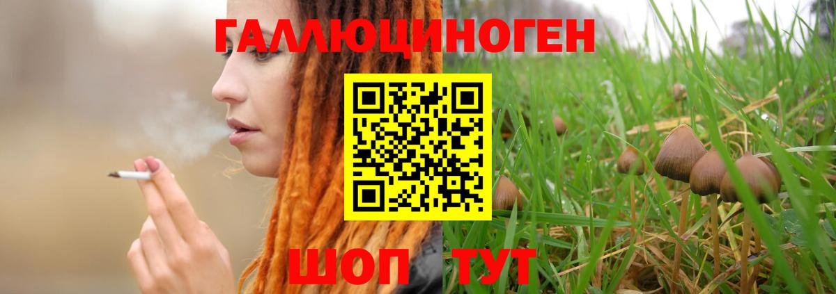 Ачинск  Псилоцибиновые грибы мухоморы  Вход с VPN 